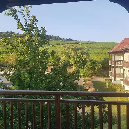 Le Petit Nid Bergheim