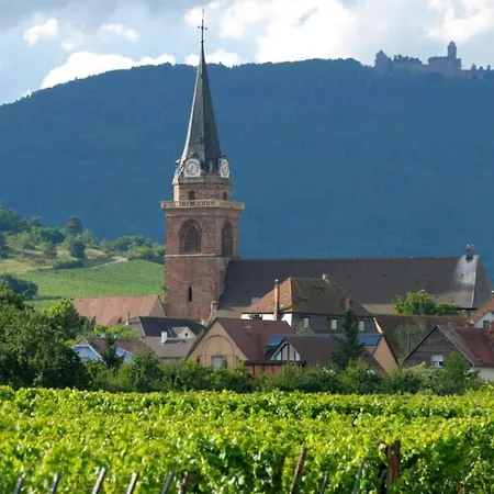 Le Petit Nid Apartment Bergheim