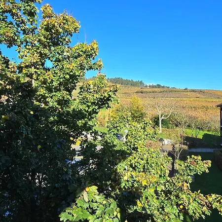 Le Petit Nid * Bergheim