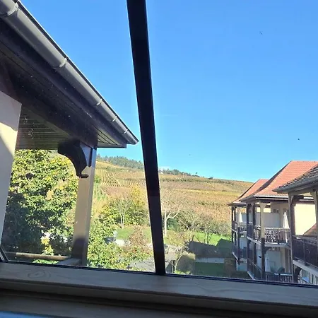 Le Petit Nid Apartment Bergheim
